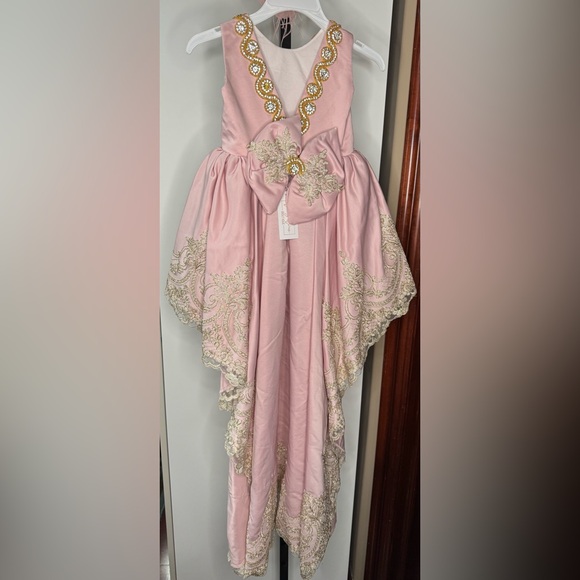 Handmade Graceful Pink and Gold hi low dress with Floral lace Embellishments - Picture 4 of 5